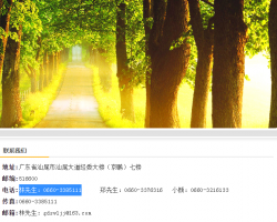 汕尾致中誠會計師事務(wù)所