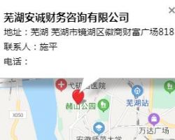 蕪湖安誠財務咨詢有限公司