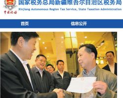 葉城縣稅務局駐行政審批局