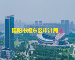 揭陽(yáng)市揭東區(qū)審計(jì)局