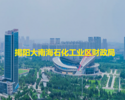 揭陽(yáng)大南海石化工業(yè)區(qū)財(cái)政