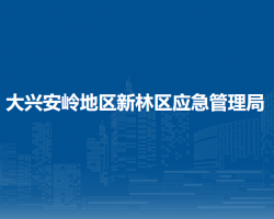 大興安嶺地區(qū)新林區(qū)應急管