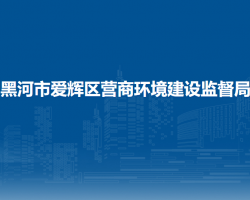 黑河市愛輝區(qū)營(yíng)商環(huán)境建設(shè)