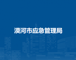 漠河市應急管理局